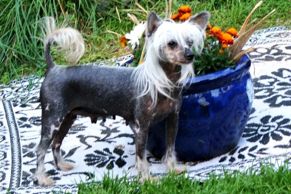 Eugenios Naked Truth At The Castle