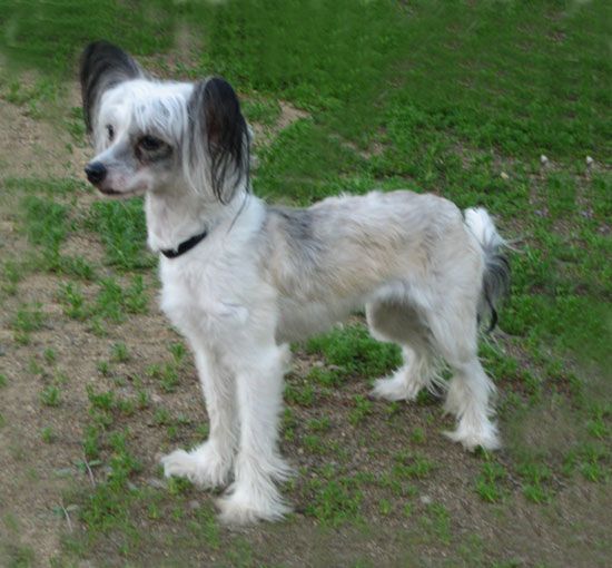 Stormblåstens Imagine That