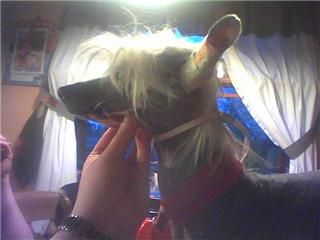 Eugenios Mister Handsome