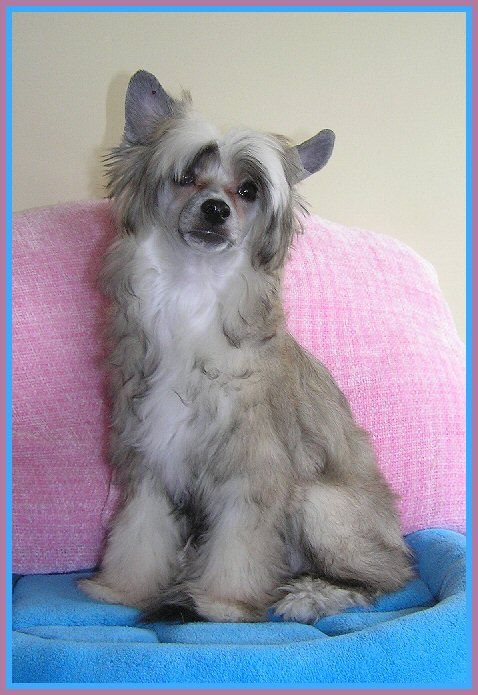 Altair's I Love Suspense