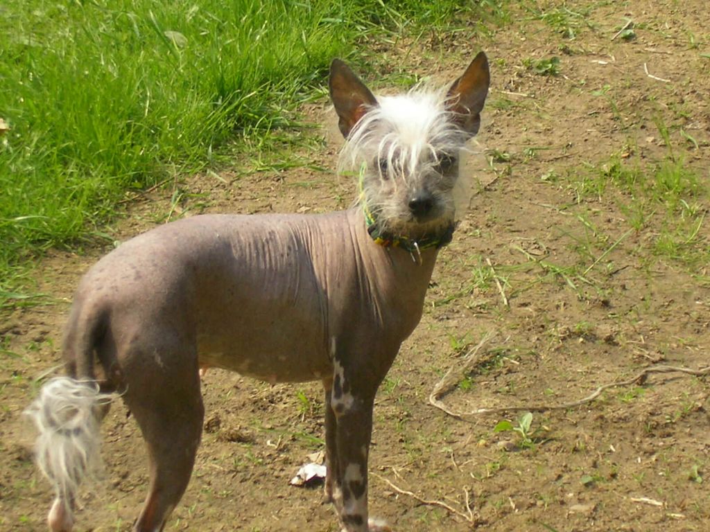 Baby Cher Od Chlpiku