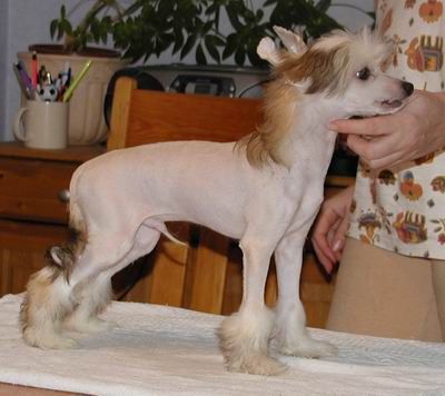 Belshaw's Bijan With A Twist