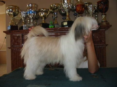 Bohemian Symphonie De GabriTho