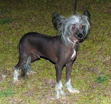 Bayshore Butch Cassidy