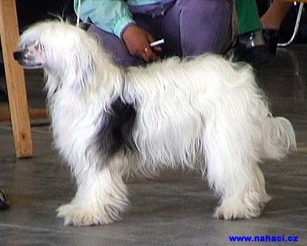 Candy Powder Od Chlpiku