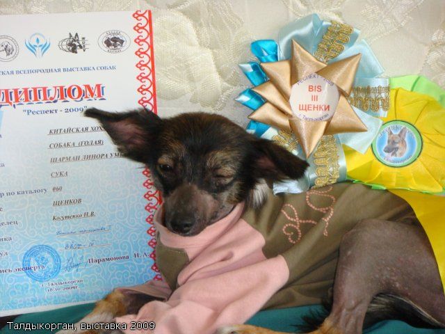 Sharman Linora Umberta