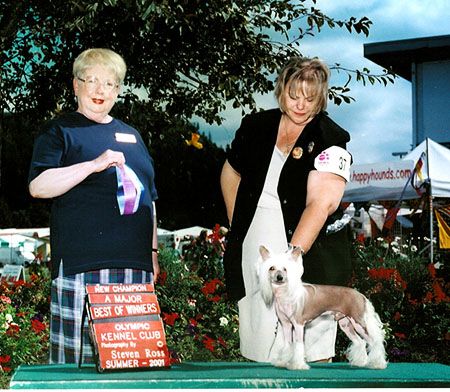 Crestars Mad About You