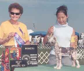 DeBe's Midnight Rose