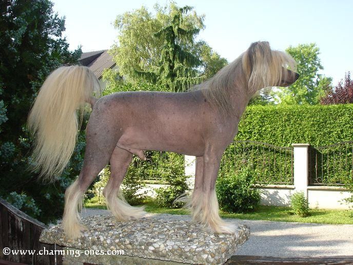 Don Juan De GabriTho