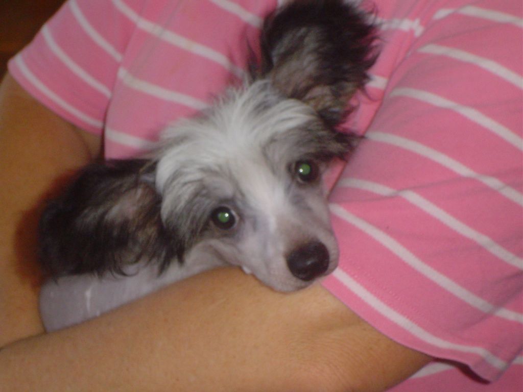 Goolarabang Calvin Klein