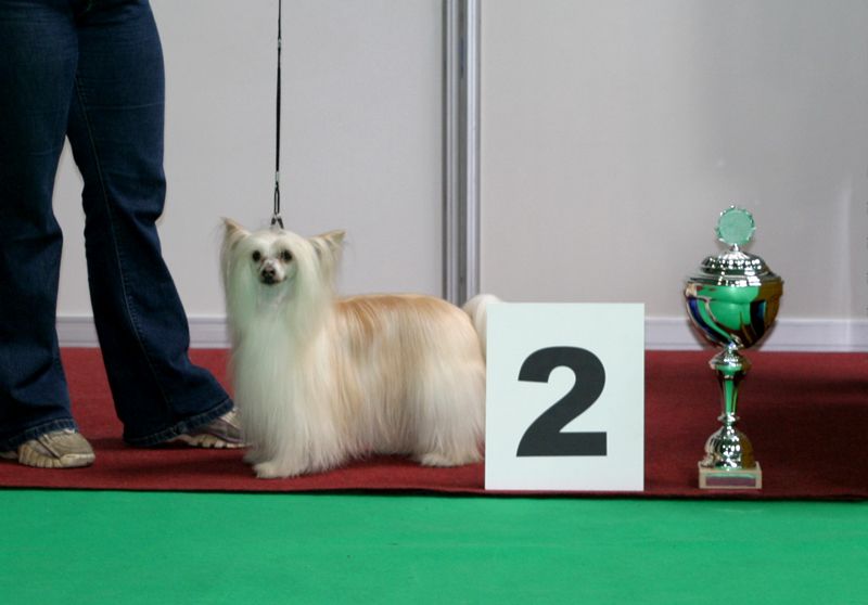 Gwendy od Zlate Samanty