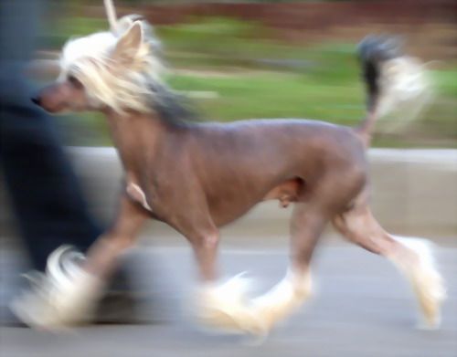 Jewels Can't Wait to Be King