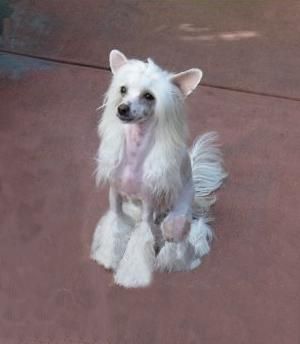 Jewels Tickle Me Pink