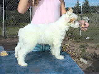 Jonbrecy's Cinnamon Toast