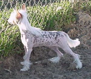 Jonbrecy's Law And Order