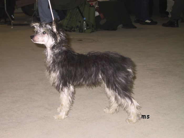 Kaunisvirran Jane Fonda