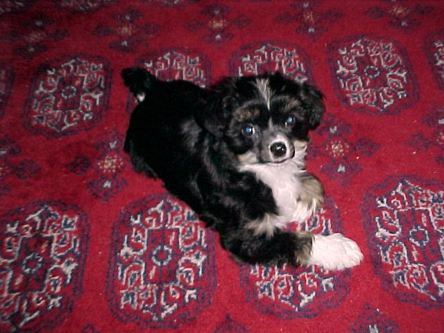 Koreke Aine Nir Eire