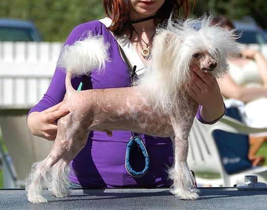 Kuminaaman Borco Rosso