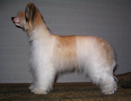 Kuutarhan Sadepisara