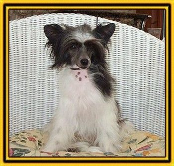 Magic Carpet's Atlantis