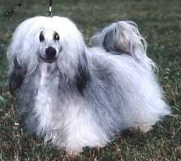 Nan Tchoung De Sanwill