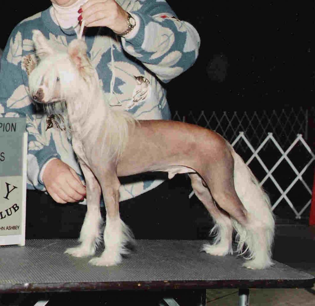 Nauset On the Leading Edge