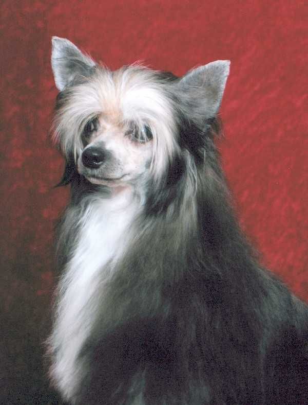 Nauset Smoke & Mirrors