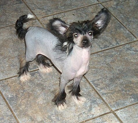 Princess Of Darkness At Lemiz