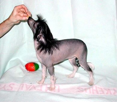 Rimabra's Even Sweeter