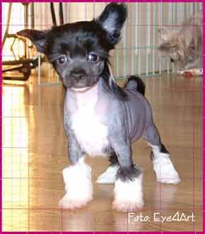 Rimabra's Hold On Me