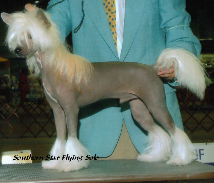 Southern Star Flying Solo