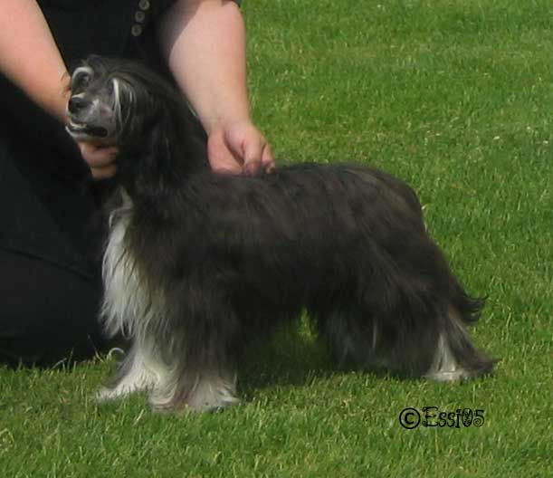 Sun Dan Now And Forever