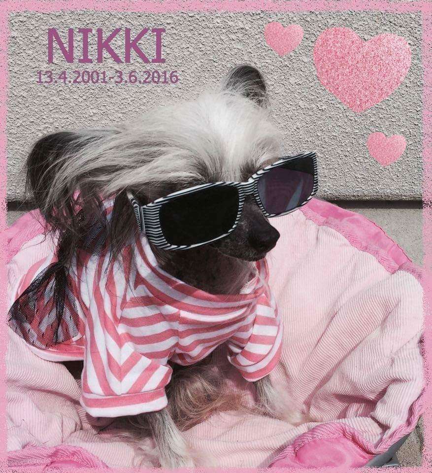 Svian's Chinese Lady Nikoline