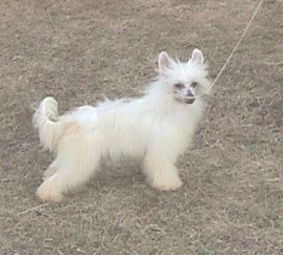 WhisperinLn' Storm Of The Century