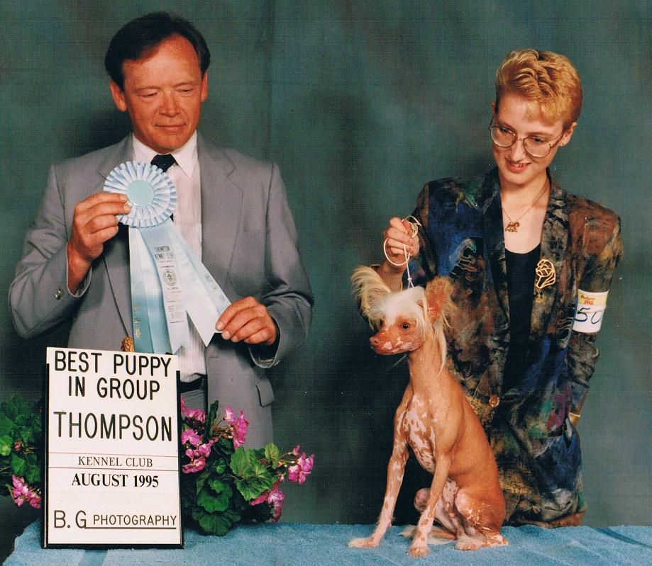 Windspiel's Lonestar