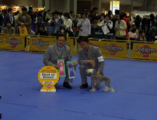 De La Mahafu's Breeze