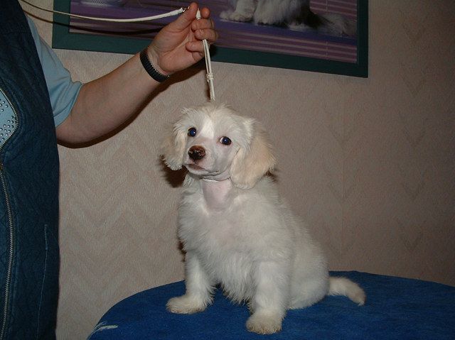 De La Mahafu's Thai Boulba