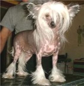 Blandora Its Unbeleivable