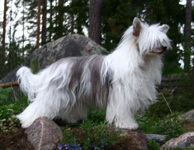 Luminara's Born Beauty