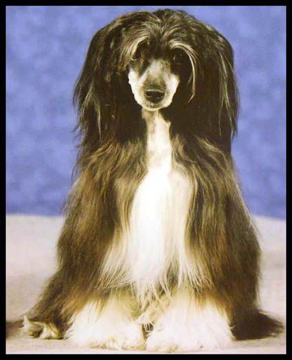 Annorlundas Cleopatra