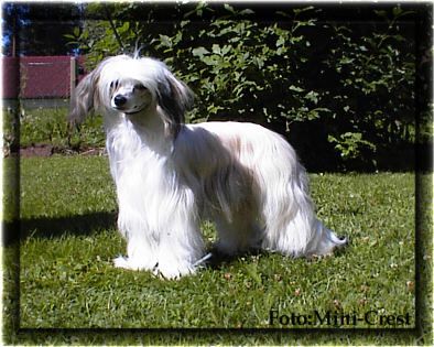 Mini-Crest Emanuella