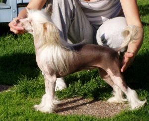 Lohamras Leia Läkerol