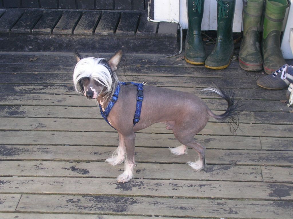 Friaborgs Extra Waganza