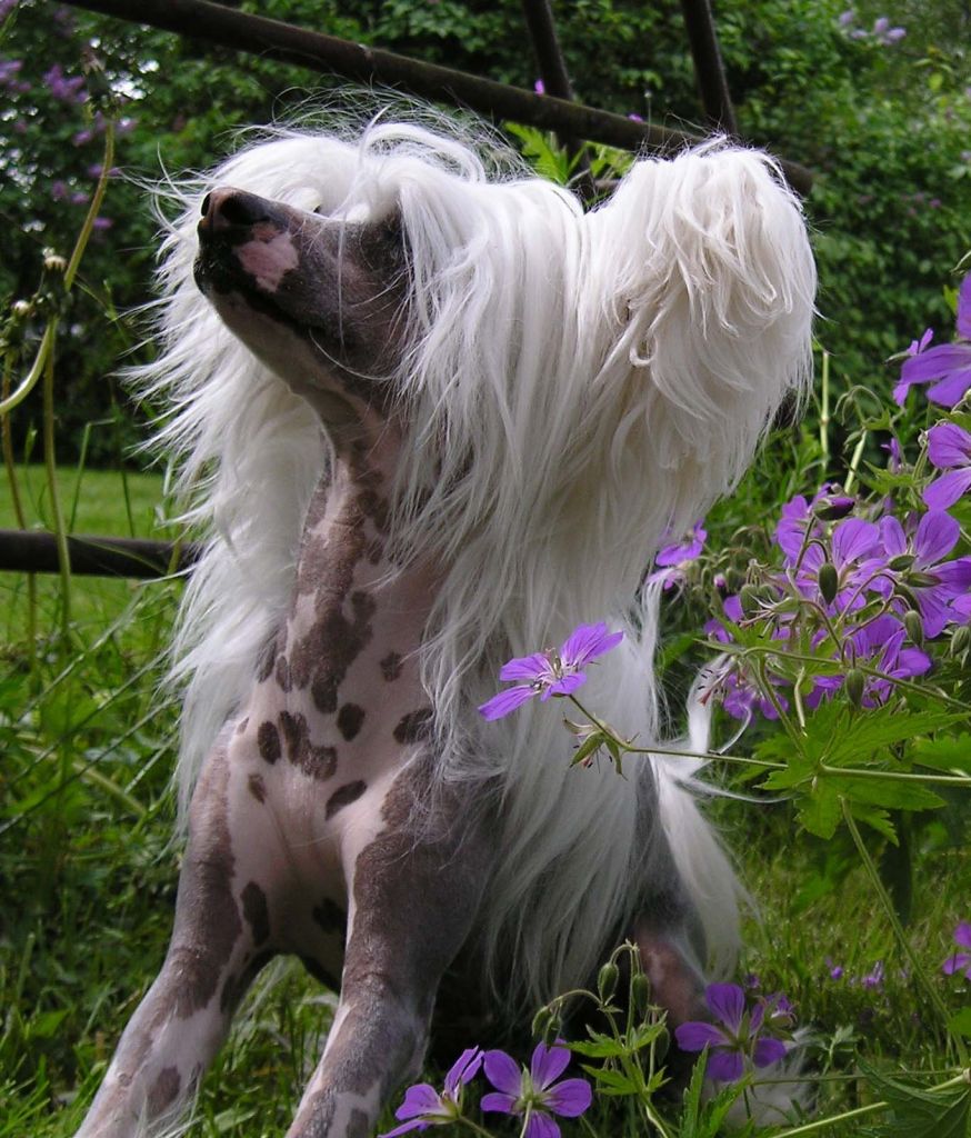 Noon's Zoe Lee Broock