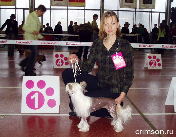 Fantastik Kashmir Ofelia