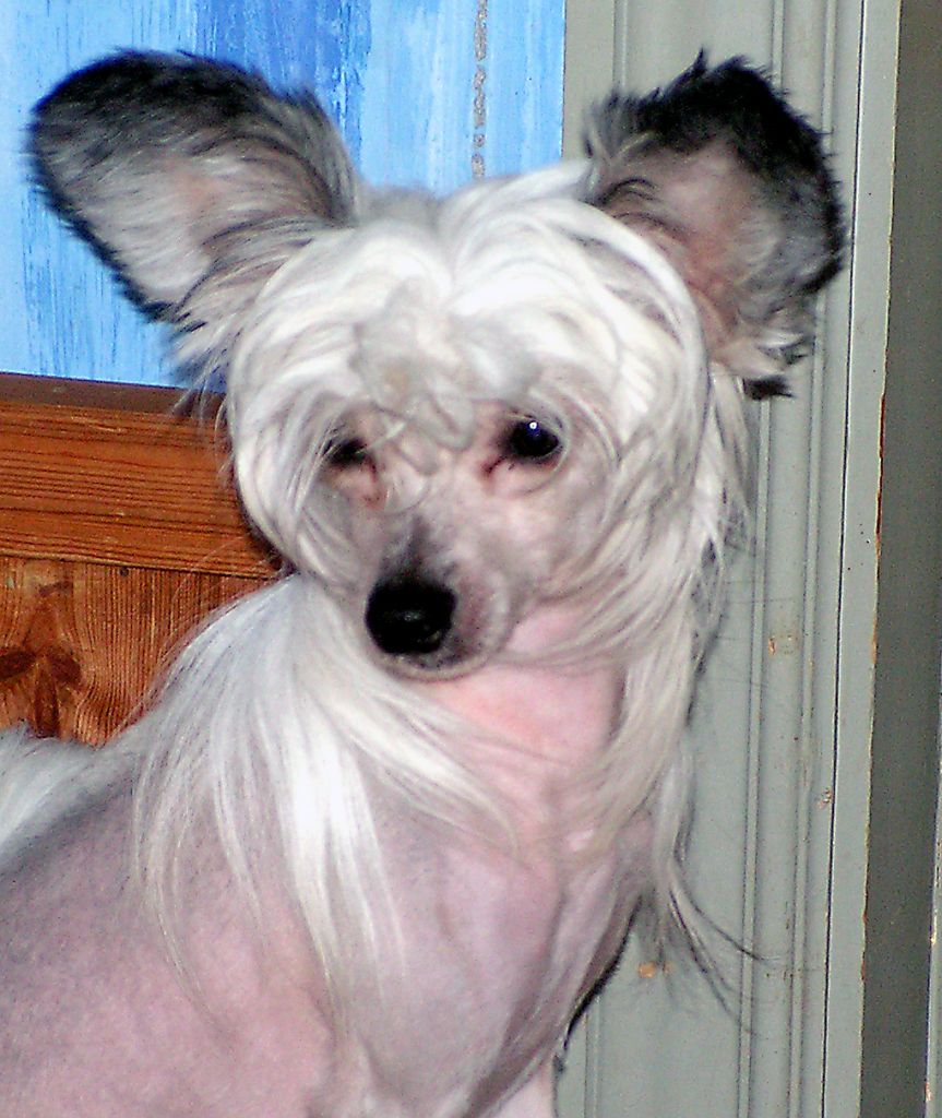 Lisar's Going To Stay