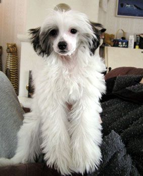 All Saints Amacing-Grace