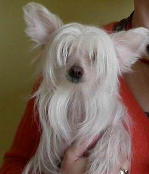 Russia Yuvi Annerose