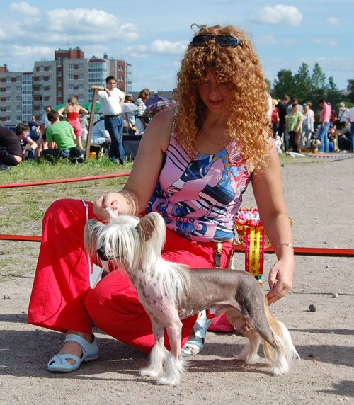 Volshebnaja Loshadka Crown Prince