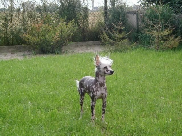 Evita Peron Herbu Bawaria